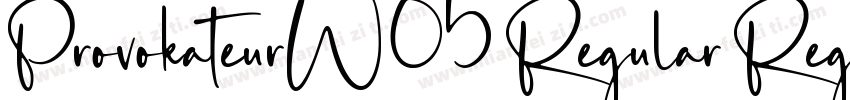 ProvokateurW05 Regular Regular字体转换